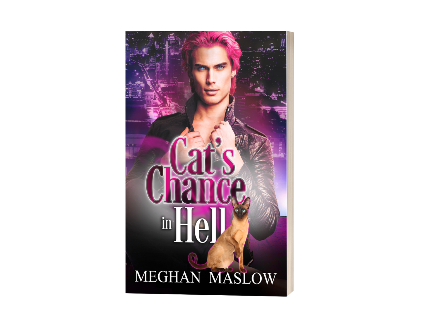 Cat's Chance in Hell (PRINT)